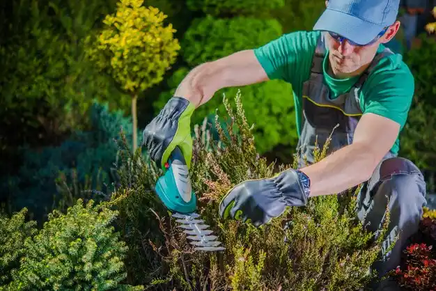 landscaping services Wixom